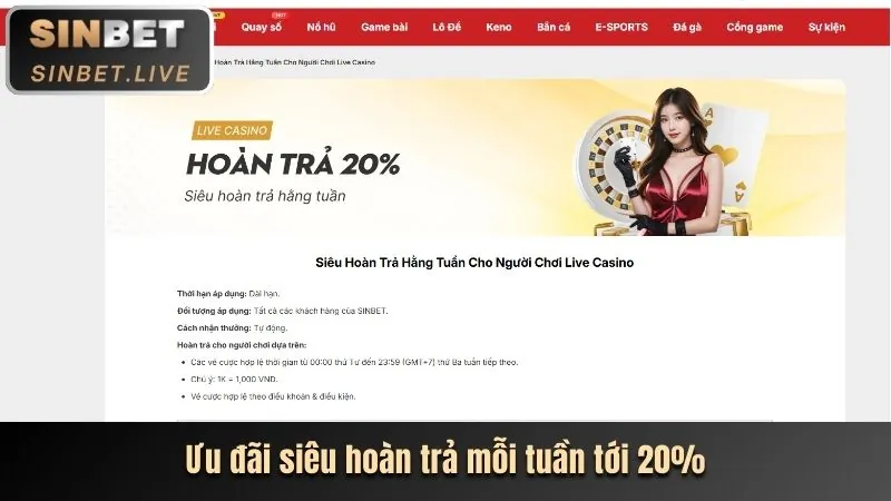 Hình ảnh quản lý tài khoản cá nhân phục vụ VIP